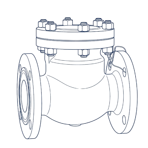 Premium Forged Carbon Steel Check Valve - Evolve Industries