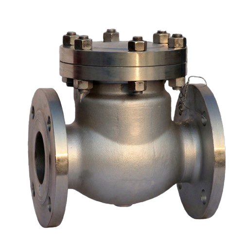 Forged Carbon Steel Check Valve Detail